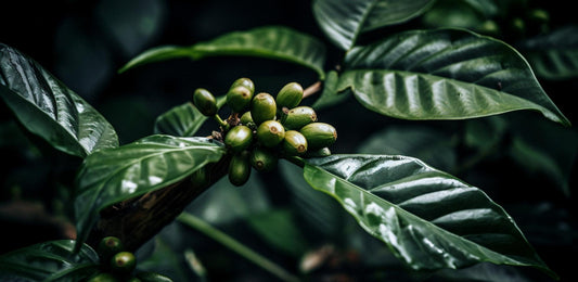 https://www.freepik.es/