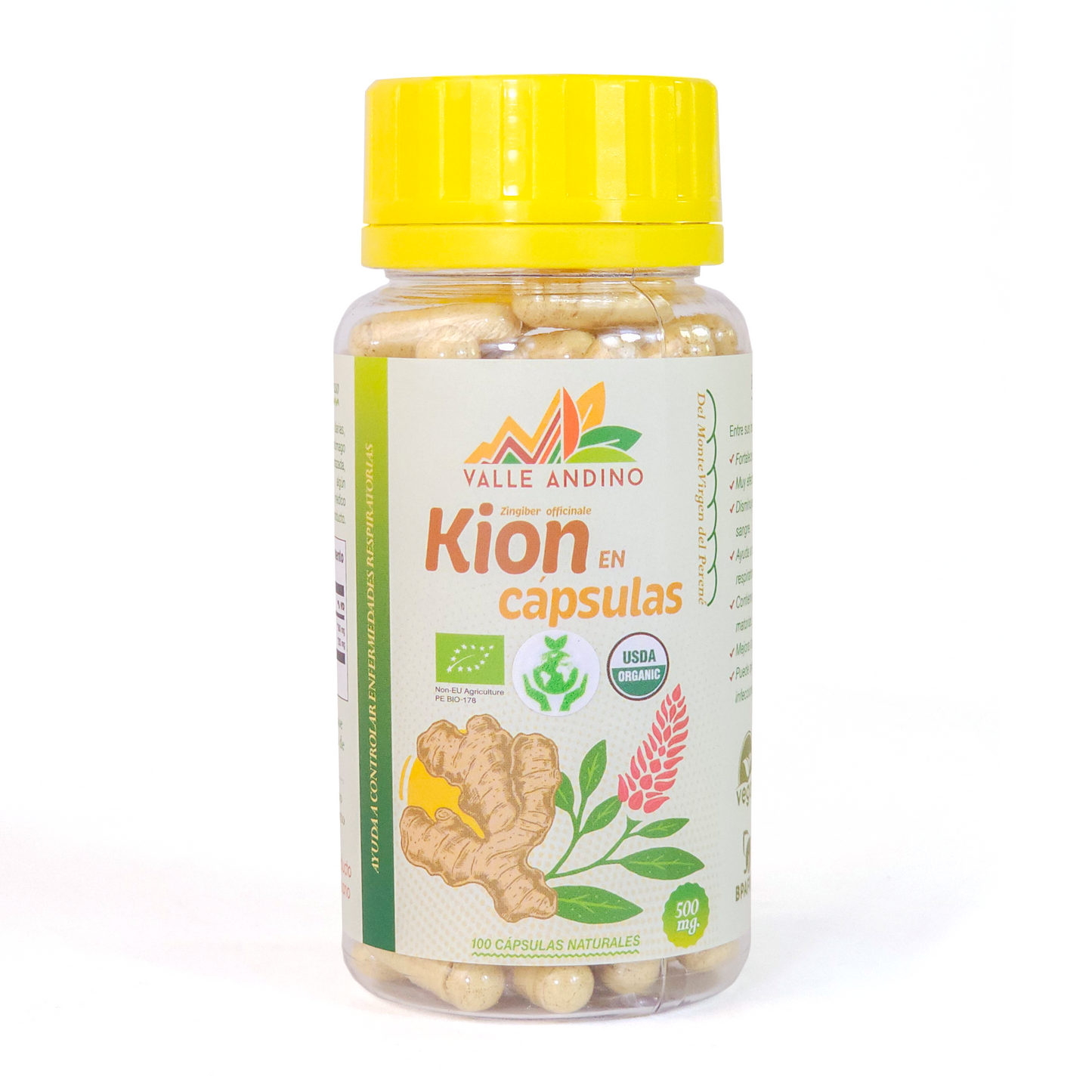 Kion (jengibre) en cápsula x 100 unids