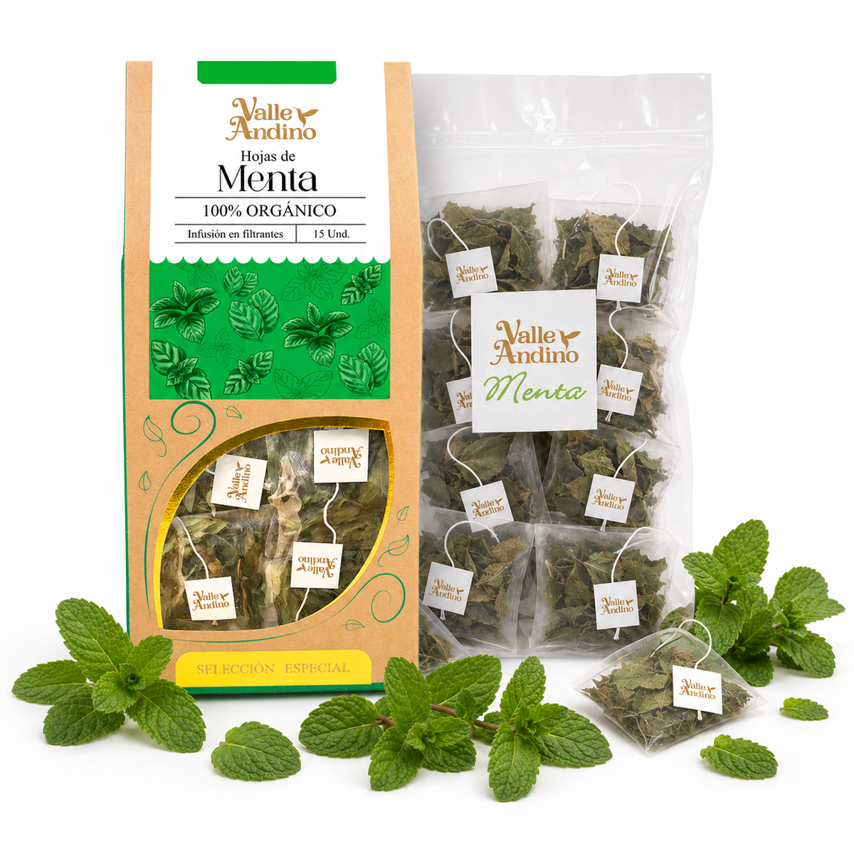 Filtrante de Menta orgánica