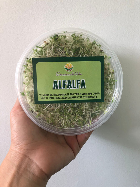 Various sprouts