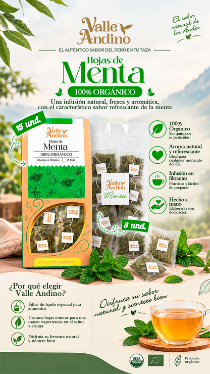 Filtrante de Menta orgánica