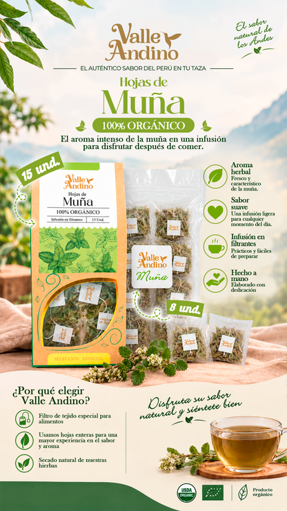 Filtrantes de Muña orgánica