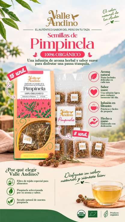 Filtrante de Pimpinela orgánica