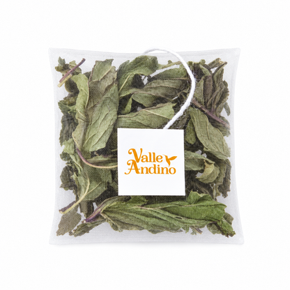 Filtrante de Menta orgánica
