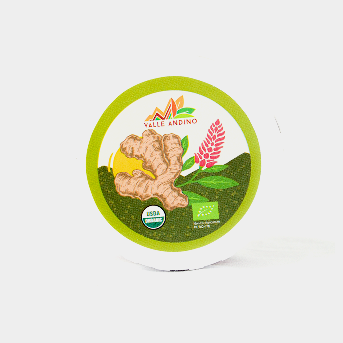 Kión (gengibre) orgánico en polvo x 40 g